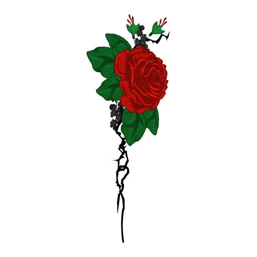 Rose Romance Bouquet
