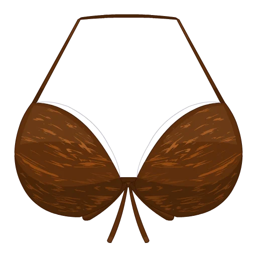 Aloha Coconut Top