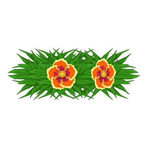 Aloha Maile Haku