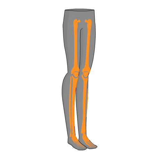 Dapper Skeleton Tights