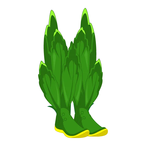 Funny Flower Boots