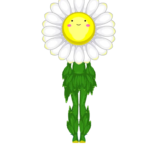 Funny Flower Set