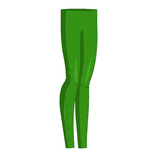 Funny Flower Socks