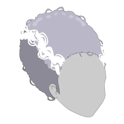 Frankenstein's Monster Streak Wig