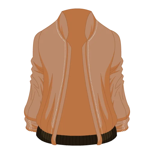 The Bomb-er Jacket