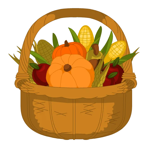 Bountiful Basket