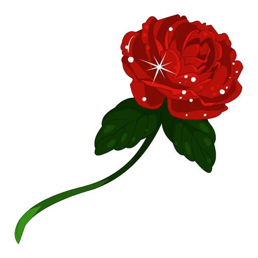 Rose Amore In Hand