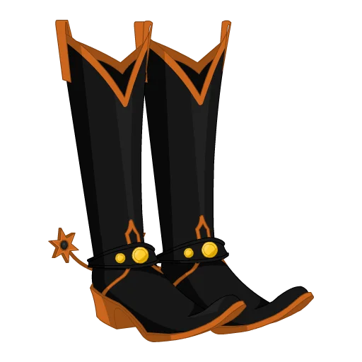 Cowgirl Boots