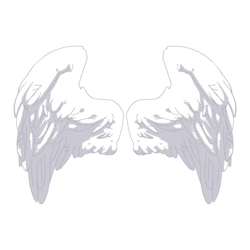 Radiant Angel Wings