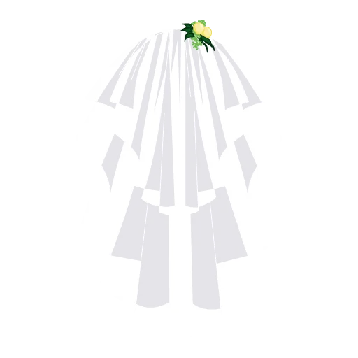 Posh Veil
