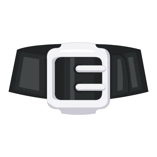 Giddy Up Belt
