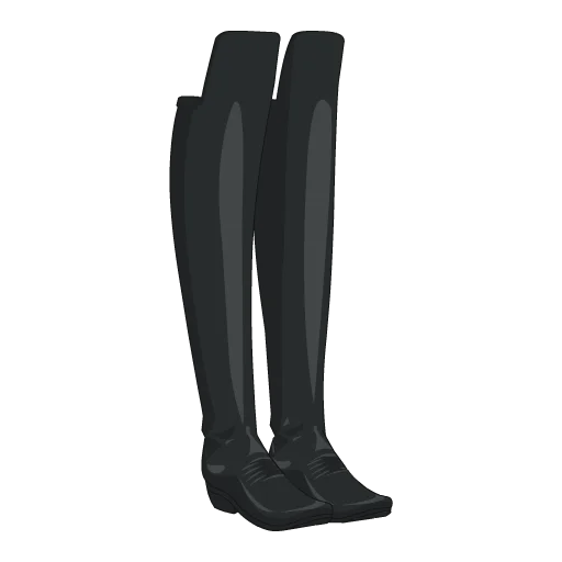 Giddy Up Boots