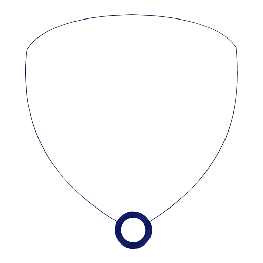 Stunningly Studious Necklace