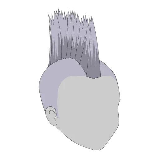 Tall Mohawk Hair