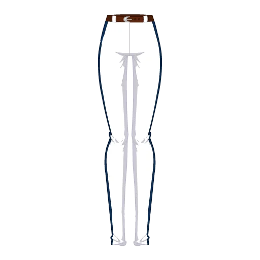 Detroit Baseball Pants