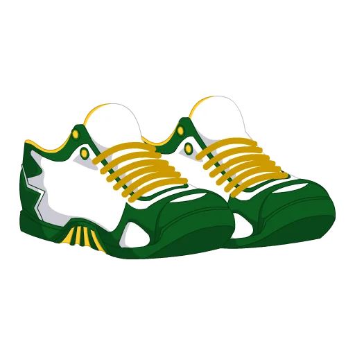 Boston Basketball Shoes