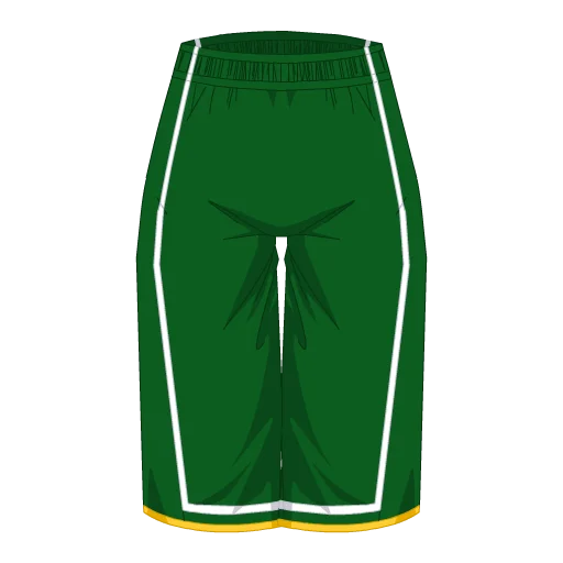 Boston Basketball Shorts
