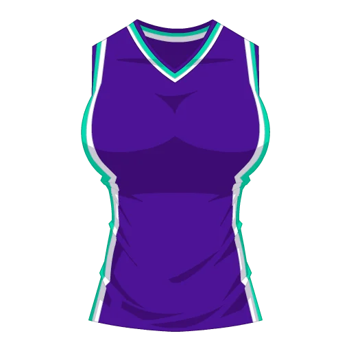 Charlotte Basketball Jersey