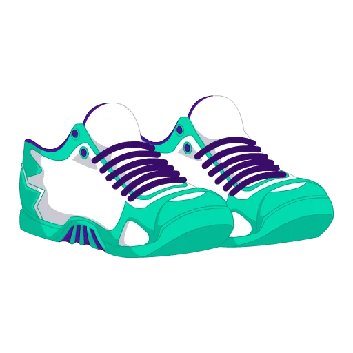 Charlotte Basketball Shoes