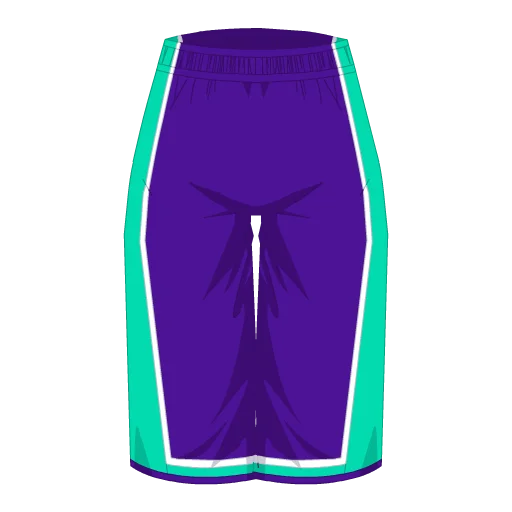 Charlotte Basketball Shorts