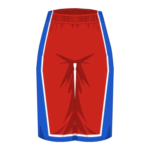 Philadelphia Basketball Shorts