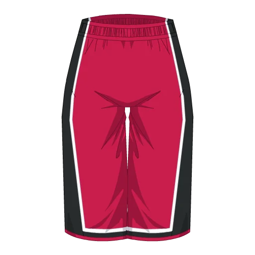 Toronto Basketball Shorts