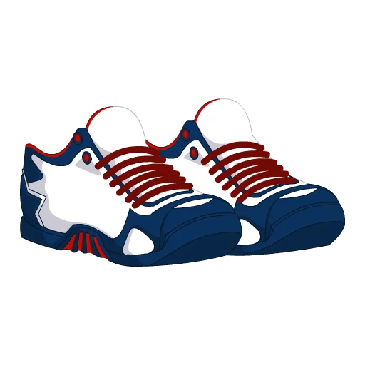 Washington Basketball Shoes
