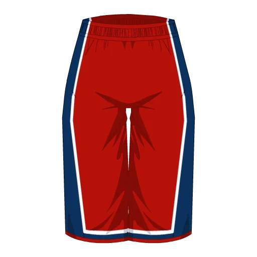 Washington Basketball Shorts