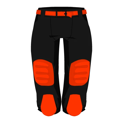 Cincinnati Football Shorts