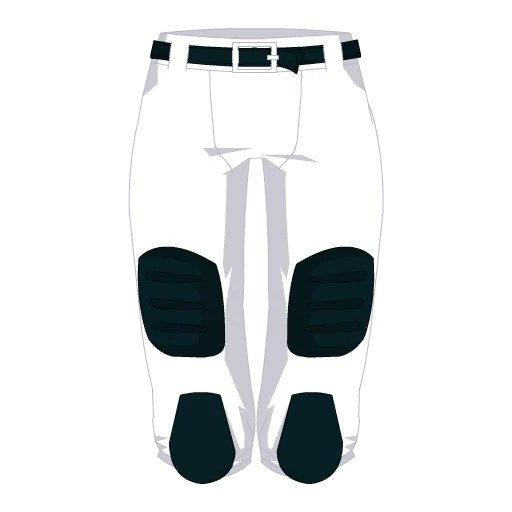 Houston Football Shorts