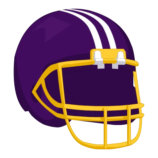 Minnesota Football Hat