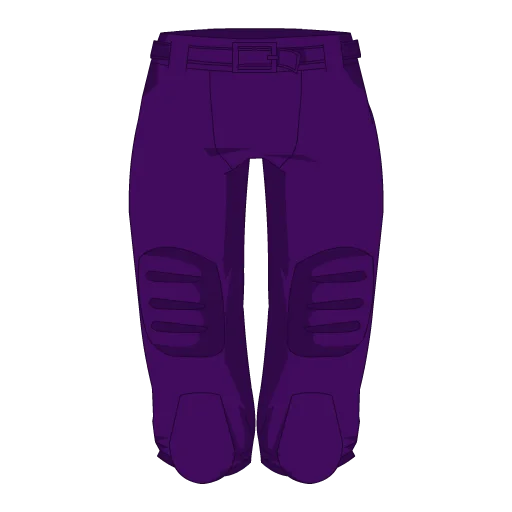 Minnesota Football Shorts