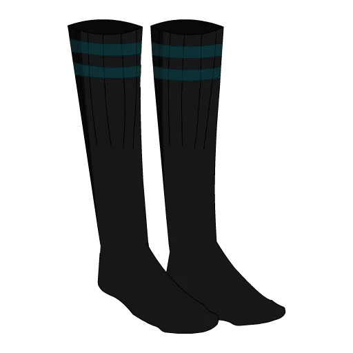 Philadelphia Football Socks