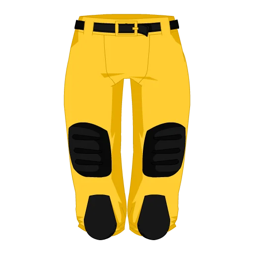 Pittsburgh Football Shorts