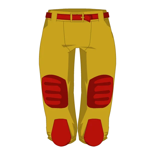 San Francisco Football Shorts