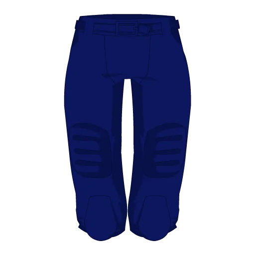 Seattle Football Shorts