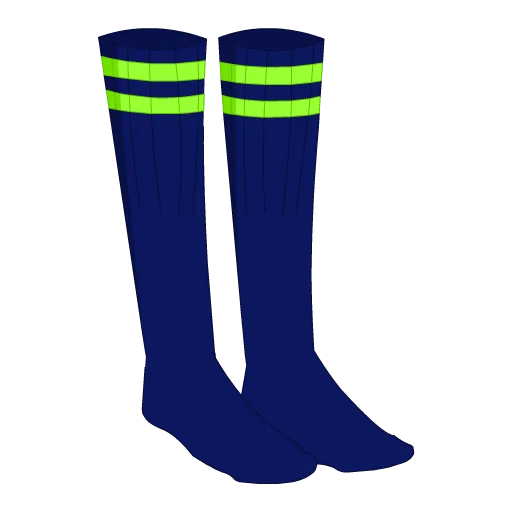 Seattle Football Socks