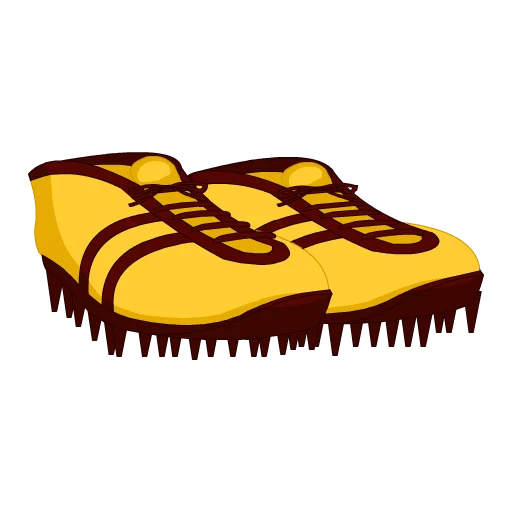 Washington Football Shoes