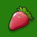 Fringo Fruit Guide article cover
