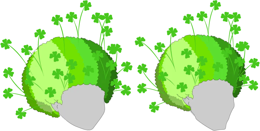 Big Clover Afro