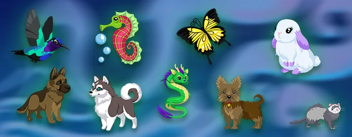 New Pets - Dragons, Seahorses, Ferrets & More! article cover