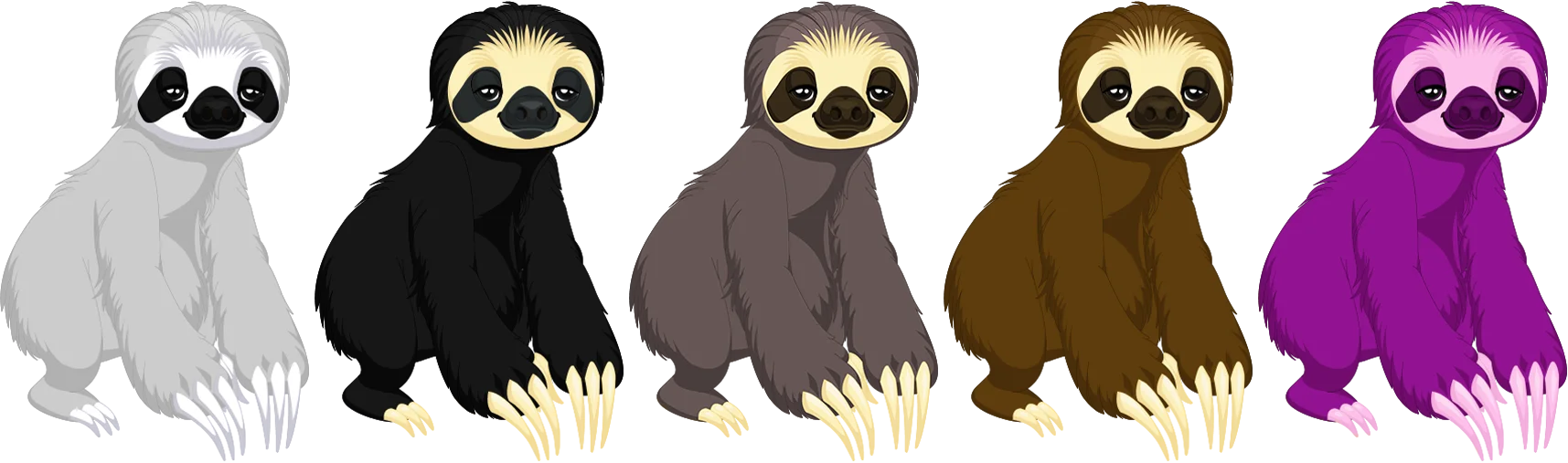Sloth
