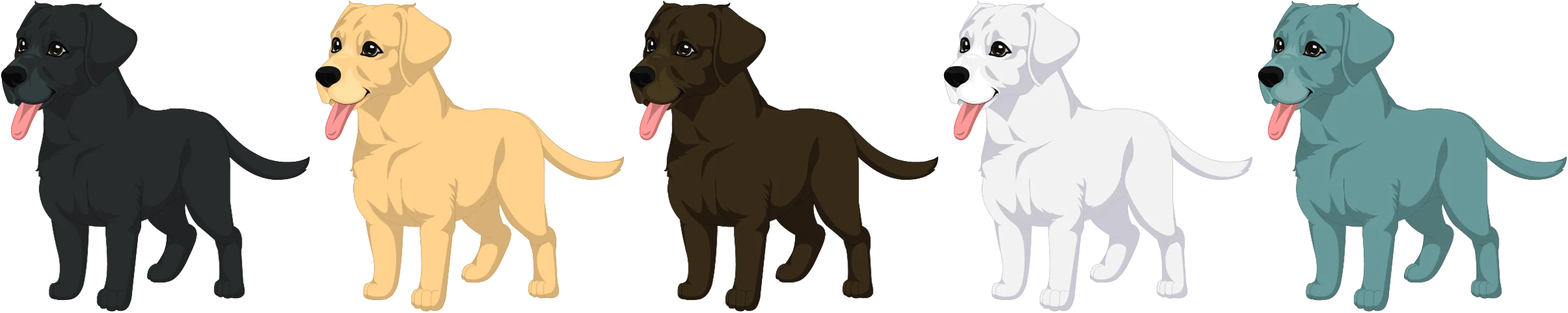 Labrador