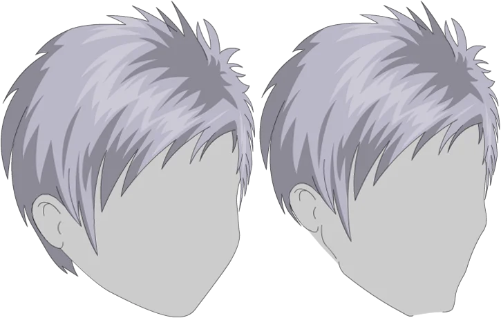 Will Hair Will Hair