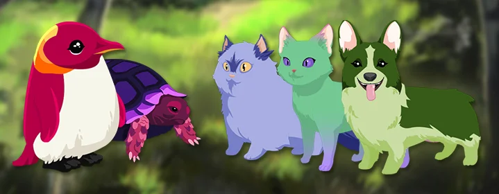 Pets are coming! article cover