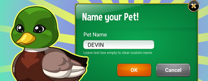 Pet Naming