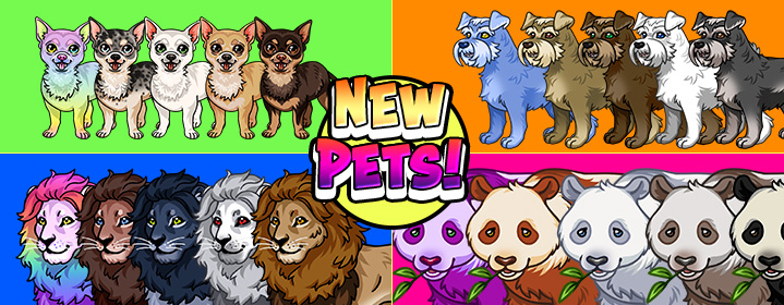 New Outfits/Pets
